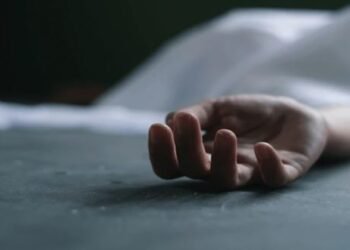 ಅಪರಿಚಿತ ವಾಹನ ಢಿಕ್ಕಿ: ವೃದ್ಧೆ ಸಾವು