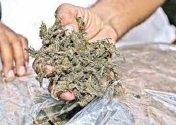 ಅಕ್ರಮ ಗಾಂಜಾ ಮಾರಾಟ: ಒರಿಸ್ಸಾ ಮೂಲದ ಇಬ್ಬರನ್ನು ಮಾಲು ಸಮೇತ ಬಂಧಿಸಿದ ಪೊಲೀಸರು