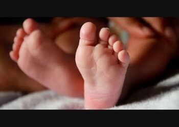 ನಾಯಿ ಹಂದಿಗಳಿಗೆ ಬಲಿಯಾಯ್ತು ನವಜಾತ ಹೆಣ್ಣು ಶಿಶು